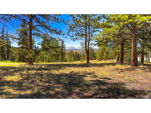 120 Chubb, Buena Vista, CO 81211