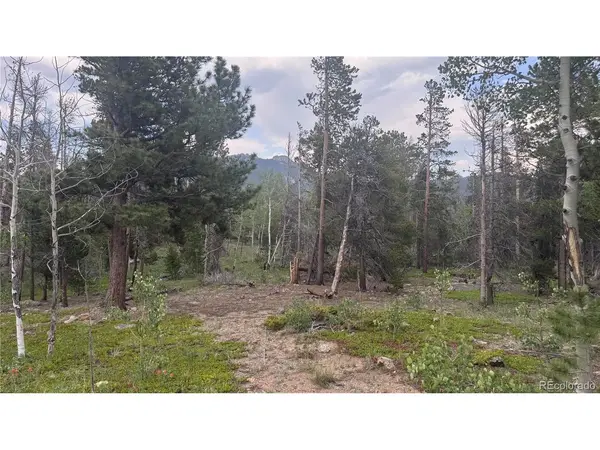 29 Lodge Pole, Black Hawk, CO 80422
