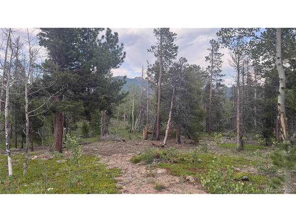 29 Lodge Pole, Black Hawk, CO 80422