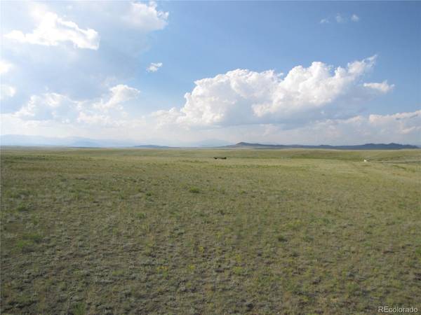 1429 Anadarko, Hartsel, CO 80449