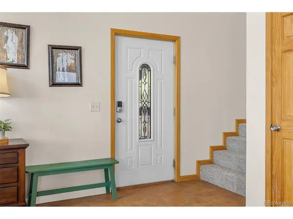 566 Palmer Peak, Fairplay, CO 80440