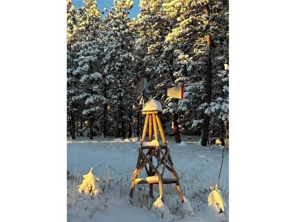 33508 Persistence, Pine, CO 80470