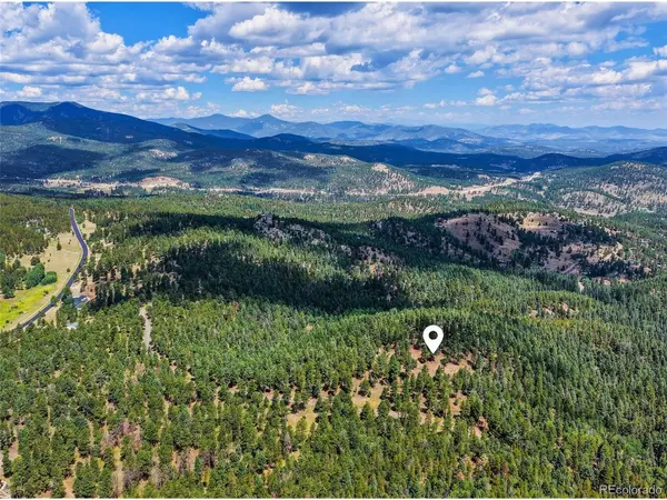 26545 Richmond Hill, Conifer, CO 80433