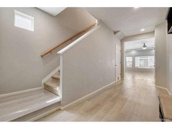 8243 Longleaf, Colorado Springs, CO 80927