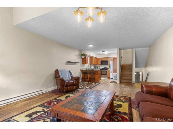 123 Burgundy, Silverthorne, CO 80498