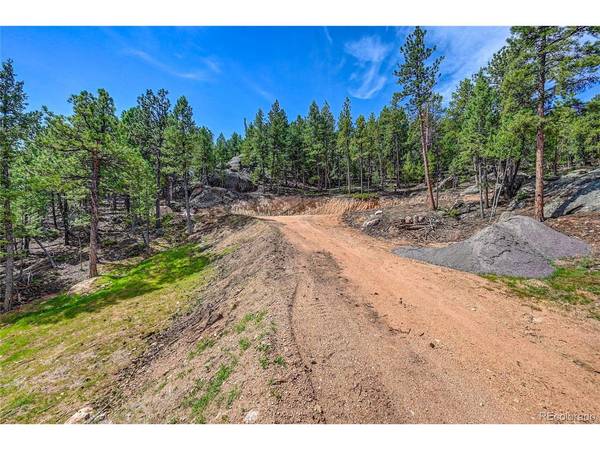 4501 County Road 72, Bailey, CO 80421