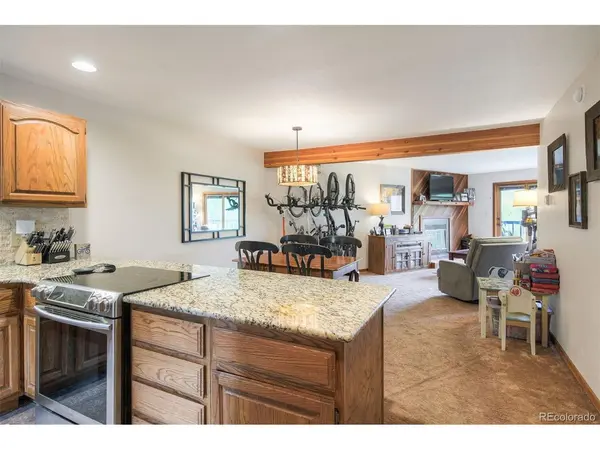 9460 Ryan Gulch #9461, Silverthorne, CO 80498