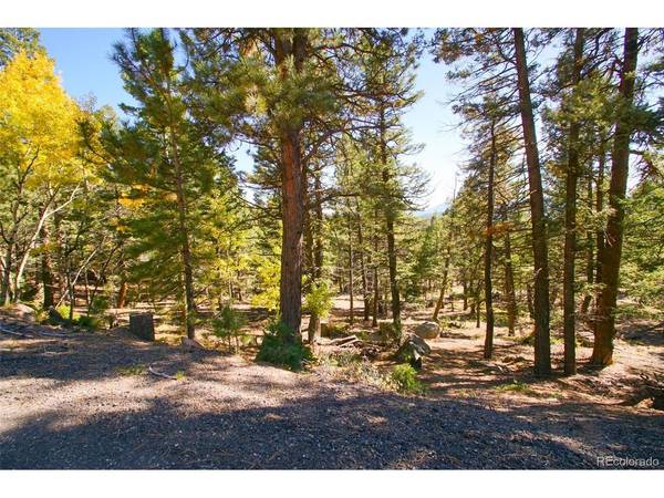 30402 Kings, Conifer, CO 80433