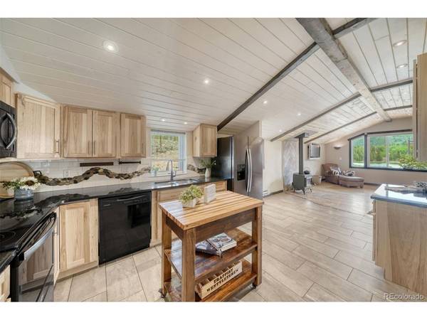 143 Elk, Leadville, CO 80461