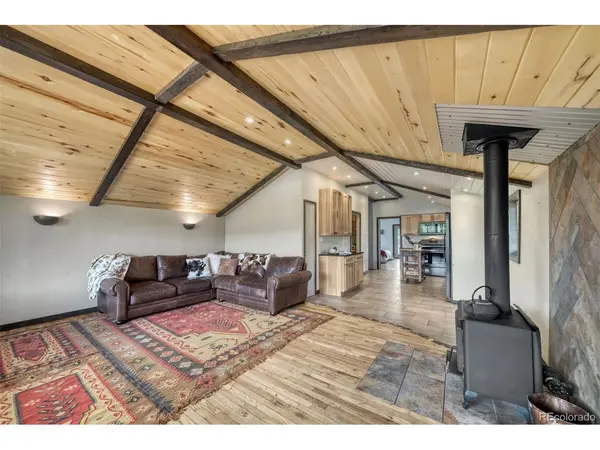 143 Elk, Leadville, CO 80461