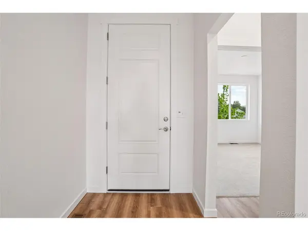 1460 Boyle, Windsor, CO 80550