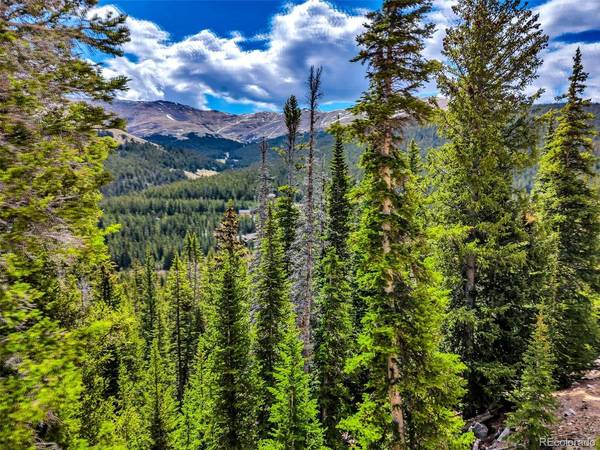 105 Quandary View Ln, Breckenridge, CO 80424