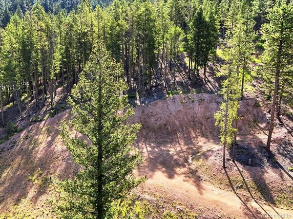 6824 Lynx Lair, Evergreen, CO 80439