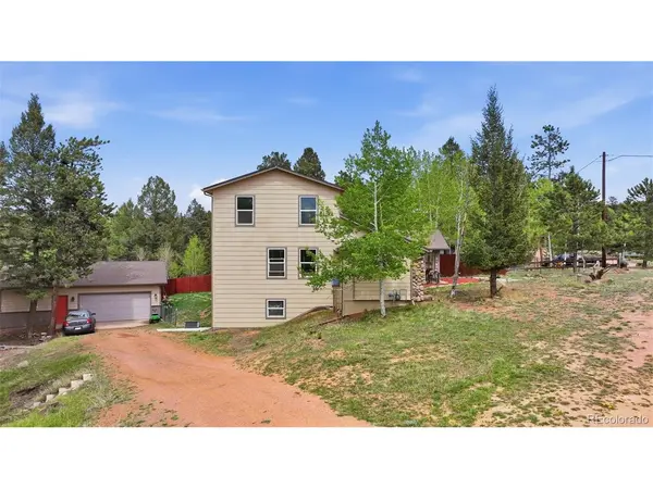 1625 N Mountain Estates, Florissant, CO 80816