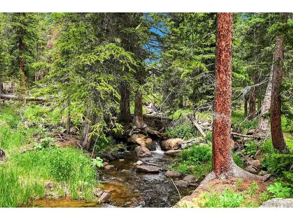 353 Brook, Idaho Springs, CO 80452