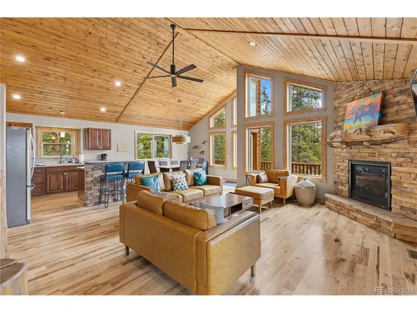 181 Valley Of The Sun, Fairplay, CO 80440