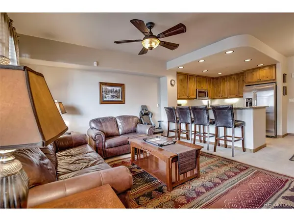 1101 9000 Divide #206, Frisco, CO 80443