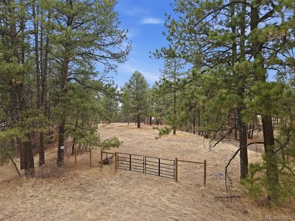 E Park, Franktown, CO 80116
