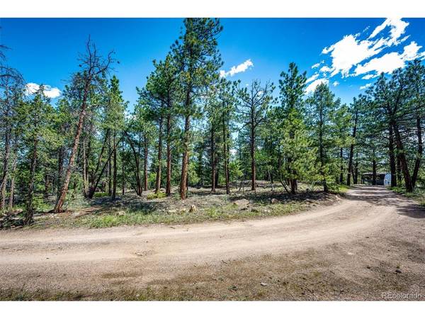 S Wandcrest, Pine, CO 80470