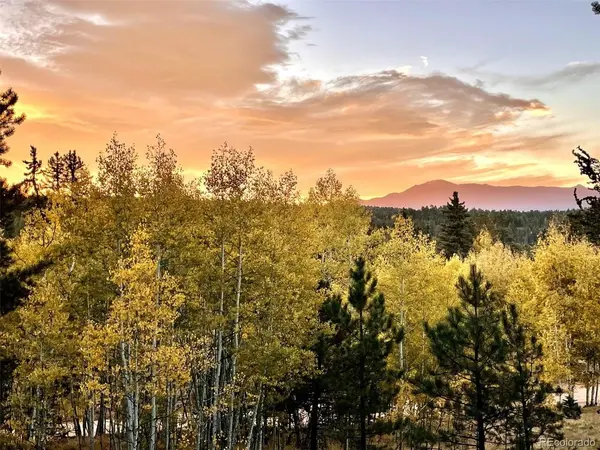 2927 Pathfinder, Florissant, CO 80816