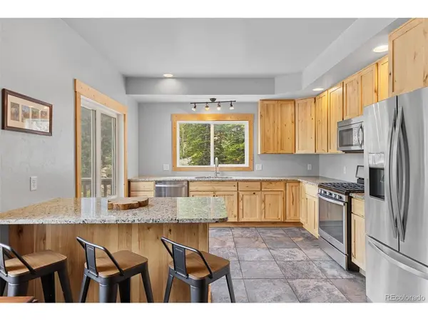 52 Coot, Alma, CO 80420