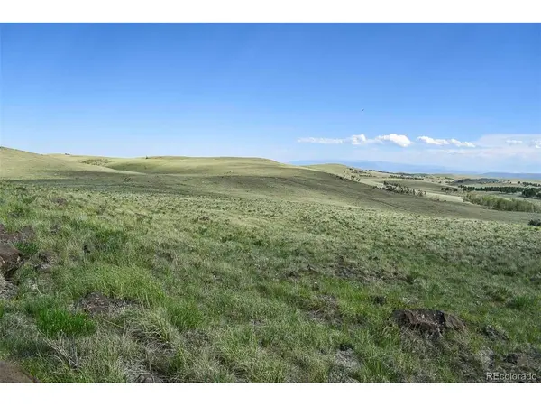 0 Bear Cat, Guffey, CO 80820