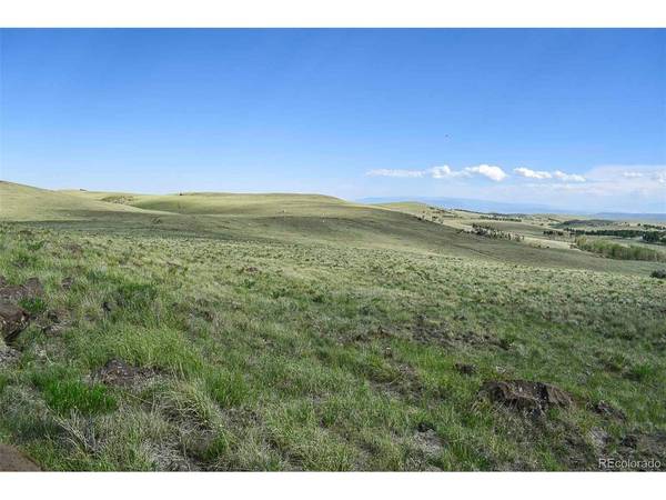 0 Bear Cat, Guffey, CO 80820