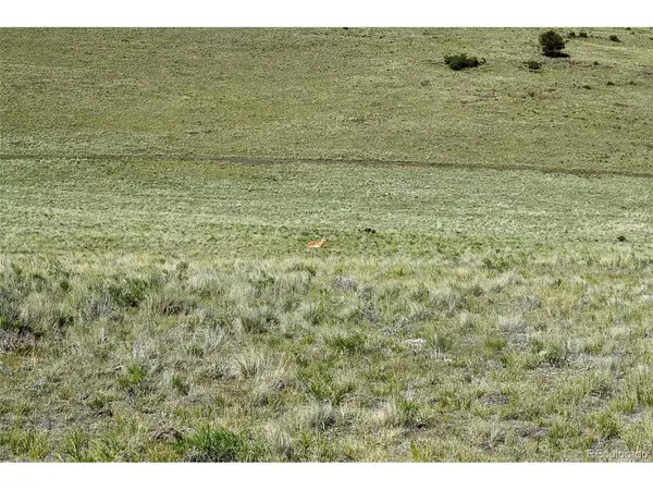 0 Bear Cat, Guffey, CO 80820