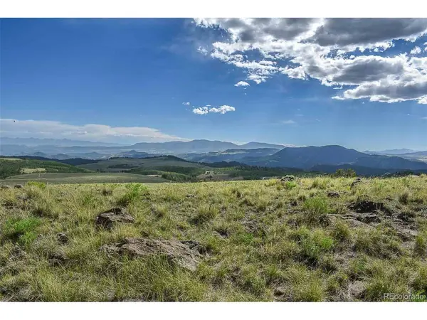 0 Bear Cat, Guffey, CO 80820