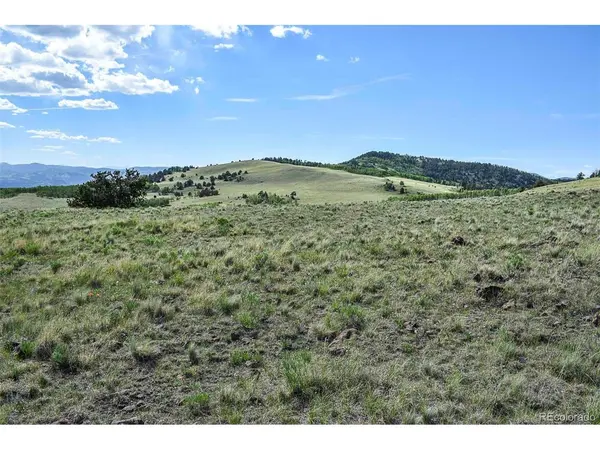 0 Bear Cat, Guffey, CO 80820