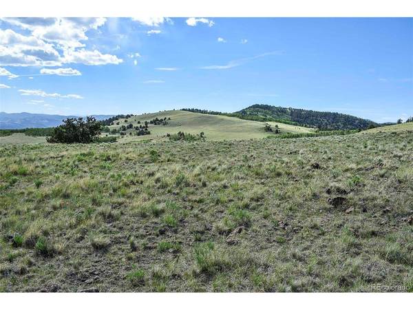 0 Bear Cat, Guffey, CO 80820
