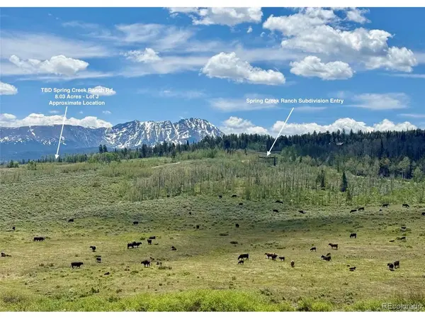 Spring Creek Ranch, Silverthorne, CO 80498