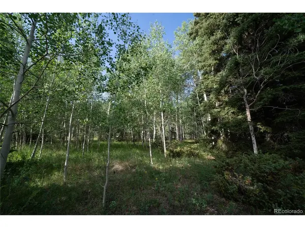 42 W Peregrine, Antonito, CO 81120