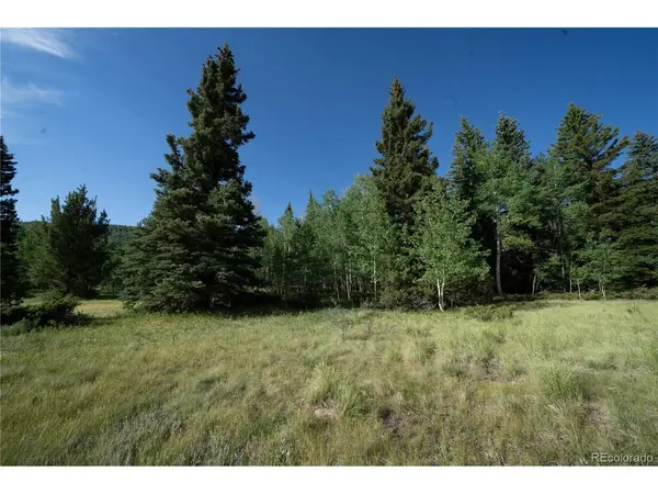 42 W Peregrine, Antonito, CO 81120
