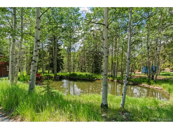 9030 Rex, Conifer, CO 80433