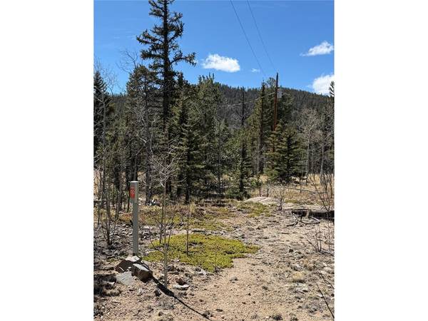 233 Cradle Board, Jefferson, CO 80456