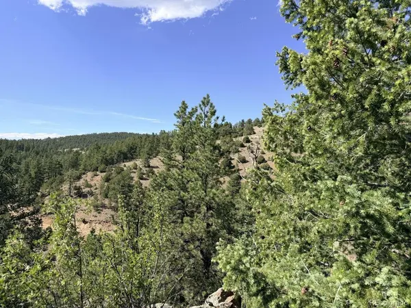 0 Schulze Ranch Rd, Westcliffe, CO 81252