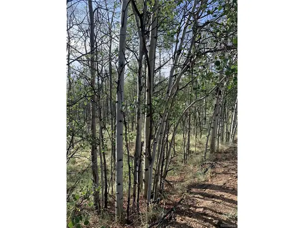 540 Vulture, Como, CO 80432