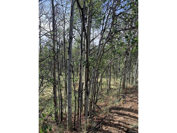 540 Vulture, Como, CO 80432
