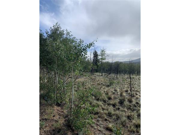 540 Vulture, Como, CO 80432