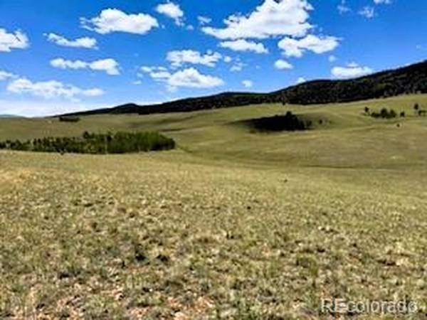 25 Sulky, Hartsel, CO 80449