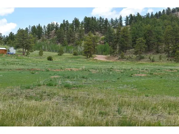 729 Valley, Guffey, CO 80820