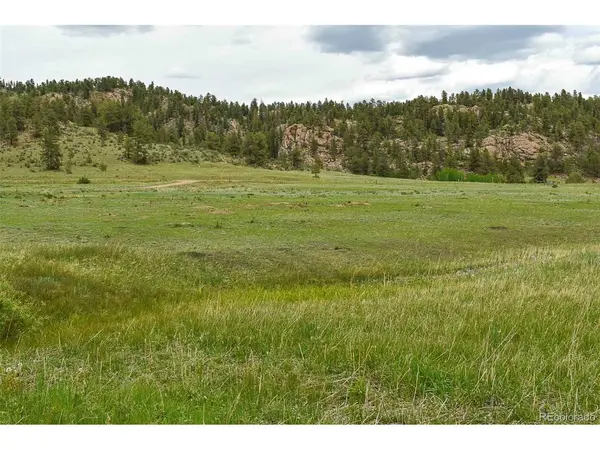 729 Valley, Guffey, CO 80820