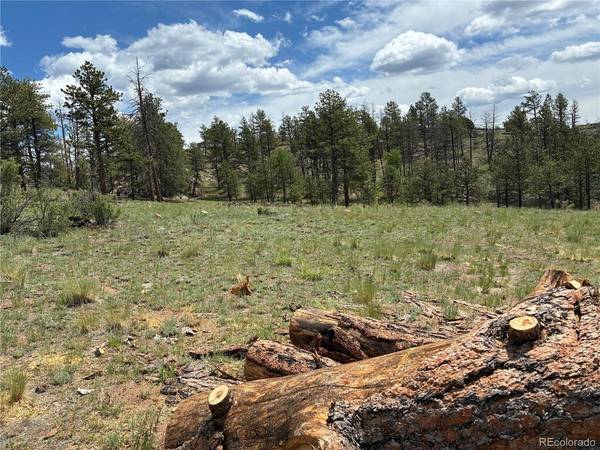 266 Chapparal, Florissant, CO 80816