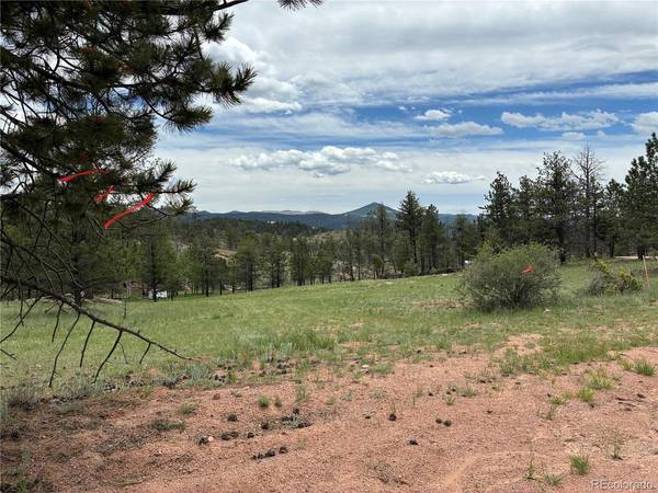 266 Chapparal, Florissant, CO 80816