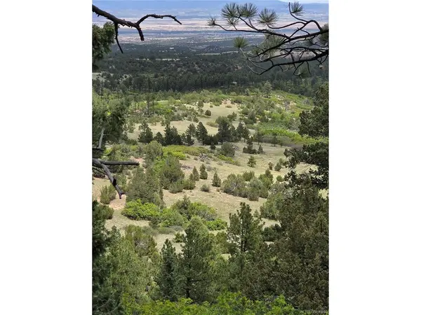 0 County Road 15, Florence, CO 81226