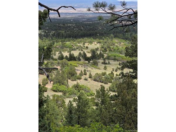 0 County Road 15, Florence, CO 81226
