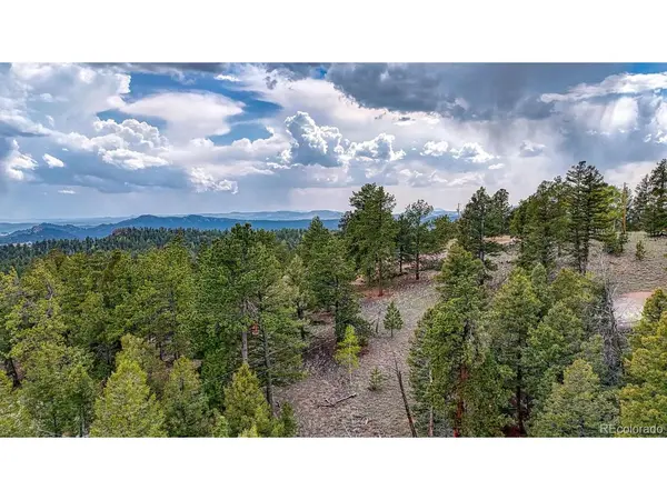 918 Pinon, Florissant, CO 80816