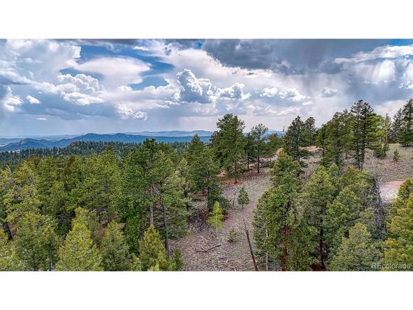 918 Pinon, Florissant, CO 80816