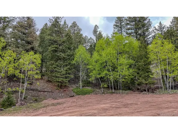 918 Pinon, Florissant, CO 80816